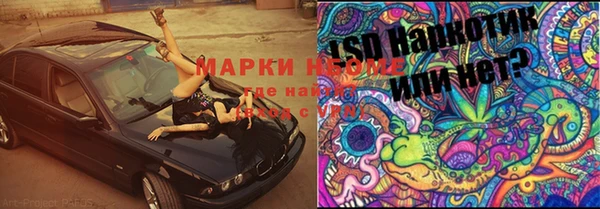 spice Алзамай