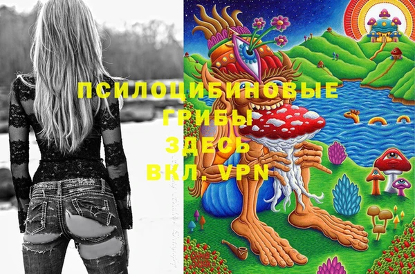 spice Алзамай